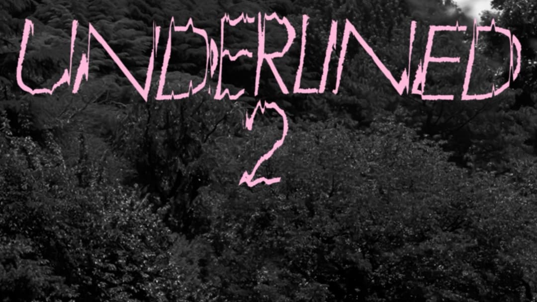Thumbnail of UNDERLINED Vol. 2