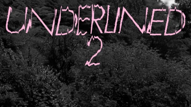 Thumbnail of UNDERLINED Vol. 2